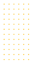 yellow_dott_landing